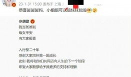 23号娱乐圈大爆料,真相与反转交织的悬疑之夜