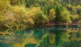 九寨沟餐饮最近爆料新闻,揭秘近期爆料背后的真相