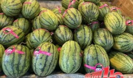 网红王大泡吃瓜