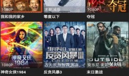 鲨鱼爆料赌城视频播放下载,鲨鱼爆料视频播放下载全解析