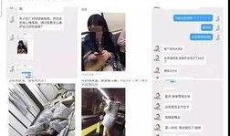 营销号爆料视频模板