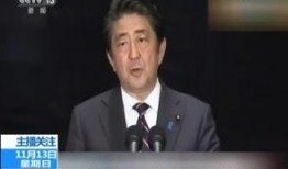 美国防长爆料特朗普视频