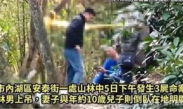 风景哥爆料胜仔 视频,视频背后的故事与真相