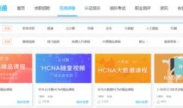 网传华为工程师爆料视频,揭秘华为内部研发秘密与挑战