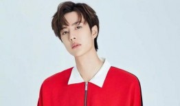 圈内爆料王源王一博,揭秘娱乐圈的神秘友谊与精彩瞬间