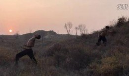 苍狼传说在线观看