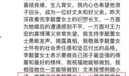 爆料王力宏记者视频,揭秘明星幕后故事