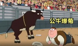 公牛之家在线观看,热血竞技，梦想翱翔