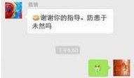 qq群免费吃网红瓜