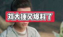 刘大锤爆料抽烟视频,揭秘明星私生活瞬间