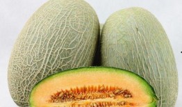 网红王大泡吃瓜