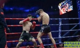 武林风爆料完整视频,完整视频背后的精彩瞬间