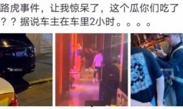娱乐风云事吃瓜任我行,吃瓜任我行，揭秘娱乐圈幕后真相