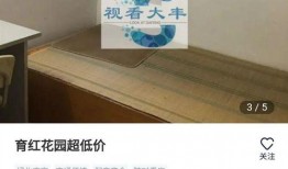 大丰房产爆料最新消息,揭秘神秘项目，房价走势再引关注！