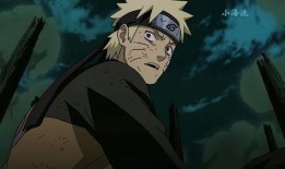 鸣人爆料视频大全最新一集