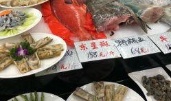 福州美食爆料视频下载,揭秘热门爆料视频中的地道风味