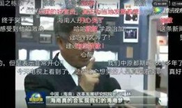 仁化网友爆料新闻视频,现场惊心动魄，事件引发热议