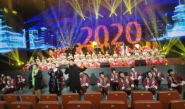 海城春晚爆料最新消息视频,精彩节目抢先看，年度盛宴即将开启！