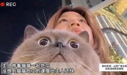 七猫免费小说吃瓜系统,穿越古代，开启吃瓜人生