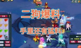 二狗爆料梦幻西游赌博视频