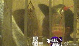 杨紫狗仔爆料视频大全集,揭秘明星幕后生活瞬间