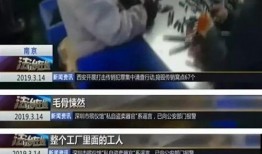 爆料昆明网红事件真相视频,揭秘背后惊人内幕