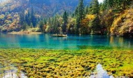 九寨沟餐饮最近爆料新闻,揭秘近期爆料背后的真相