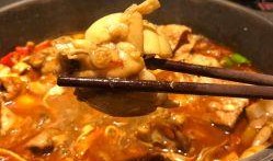 南昌爆料牛蛙事件真相视频,揭秘背后惊人内幕