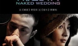 裸婚时代在线观看,揭秘现代都市爱情与婚姻的抉择