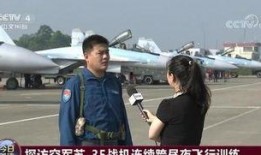 飞行员真实爆料事件视频,惊心动魄的空中险情瞬间