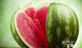 qq群免费吃网红瓜