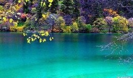 九寨沟餐饮最近爆料新闻,揭秘近期爆料背后的真相