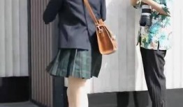 穿制服的女孩在线观看,穿制服女孩的在线魅力瞬间