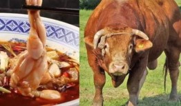 南昌爆料牛蛙事件真相视频,揭秘背后惊人内幕