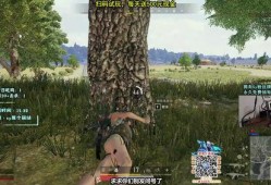 sy是个萌妹爆料视频,揭秘sy的神秘魅力