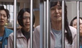 女犯在线观看,揭秘网络直播中的犯罪世界