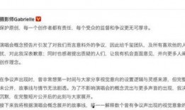 抄袭怎么爆料的视频,视频揭露抄袭事件始末