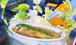 泉城爆料美食视频播放网站,跟随爆料视频，解锁济南地道风味