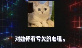 吃瓜娱乐八卦直播视频,吃瓜娱乐八卦，带你领略网红圈幕后风云