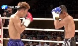 武林风爆料完整视频,完整视频背后的精彩瞬间