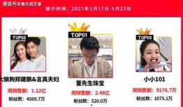 迪拜网红爆料视频大全,揭秘城市生活幕后精彩瞬间