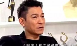 刘德华爆料记者是谁啊视频,揭秘幕后的真相