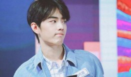 肖战近期爆料事件视频,揭秘近期爆料事件背后真相