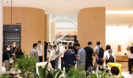 林氏木业爆料视频,爆料视频揭示行业内幕