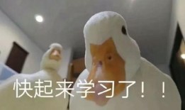 爆料鸭子吃药视频,鸭子吃药背后的真相，视频曝光引热议