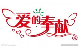 爱的奉献在线观看,温情演绎，感人至深的在线观看之旅