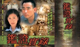 鉴证实录1国语在线观看,揭秘古董鉴宝传奇故事