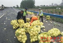 网红吃瓜群众黄料图片,一场视觉盛宴背后的真相