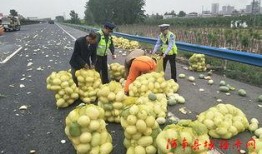 网红吃瓜群众黄料图片,一场视觉盛宴背后的真相