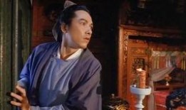 竹夫人国语在线观看,穿越时空的温暖守护